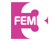 FEM3