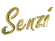 Senzi HD