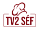 TV2 Séf
