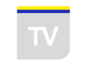 TV Moldava